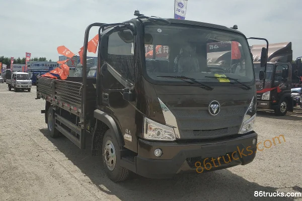 Foton Foton ES3 Light Truck Cargo Trucks