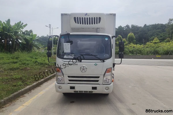 Dayun Dayun Aopuli light truck Electric Refrigerated Truck