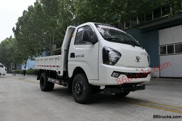 Shifeng Fengyun 2.3L Diesel 115hp 4X2(6 wheels) Mengwo 5-speed 2.9m Single Row Dump Truck Exterior
