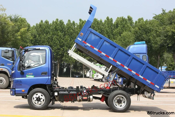 Foton Big King Kong 1 95 hp 4X2(6 wheels) 3m Semi-Cab Dump Truck Body (3) | 86Trucks
