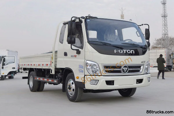 Foton Foton TX Light Truck Cargo Trucks