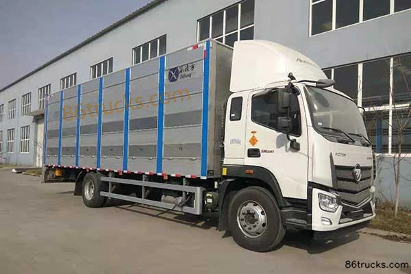 Binglingfang Binglingfang Foton chassis livestock transport truck