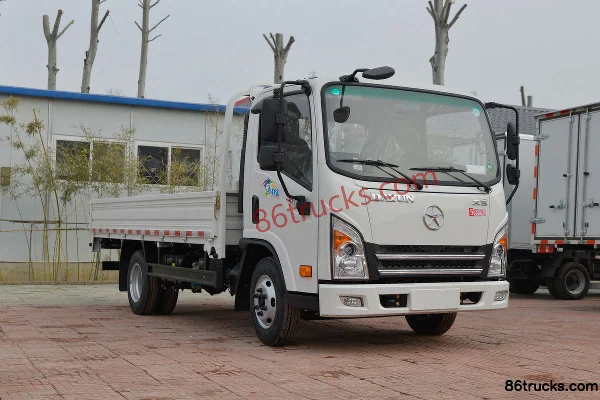 Dayun Xin Aopuli 132hp 4X2(6 wheels) 4.12m Single Row Flatbed Light Truck (China VI) Exterior