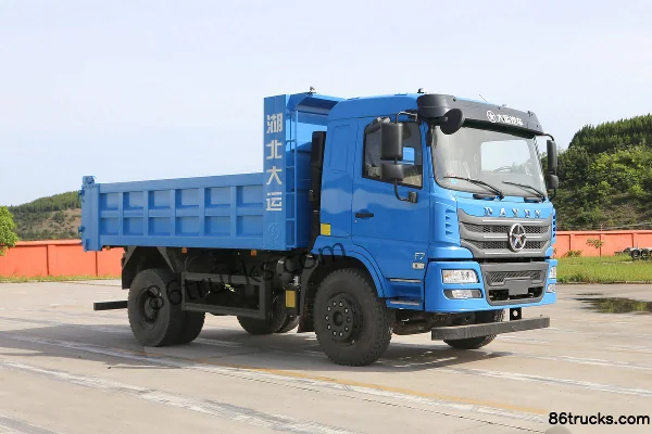 Dayun F7 medium truck heavy-duty 270hp 4X2(6 wheels) 5m dump truck (China VI) Exterior
