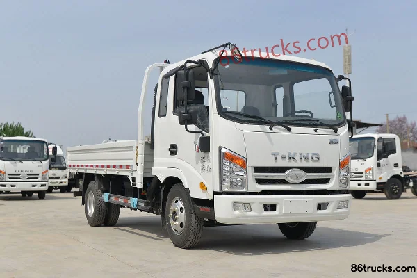 Tangjun T3 Light Truck Cargo Trucks