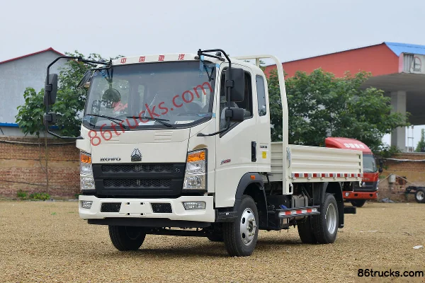 Sinotruk HOWO Tongshuai 110 hp 4X2(6 wheels) 3.65m half-row panel light truck Exterior (3) | 86Trucks