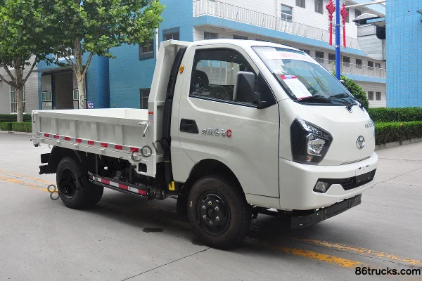 Shifeng Shifeng Fengyun Mini Truck Dump Trucks