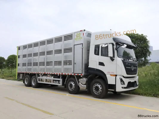Dongfeng Commercial Vehicle Tianlong KL camion lourd 465 ch 8X4(12 roues) 9,25 m camion de transport d'animaux (China VI) (marque Chufeng) E