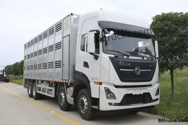 Xinchufeng Xinchufeng Dongfeng Commercial Vehicle Chassis livestock transport truck