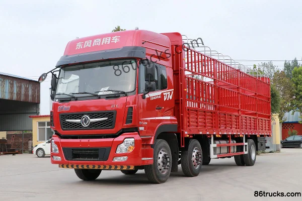Dongfeng Changxing D3 260hp 6X2(8 wheels) 5.8m grain van cargo truck (China VI) Exterior (3) | 86Trucks