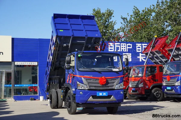 Foton Foton ES3 Light Truck Dump Trucks