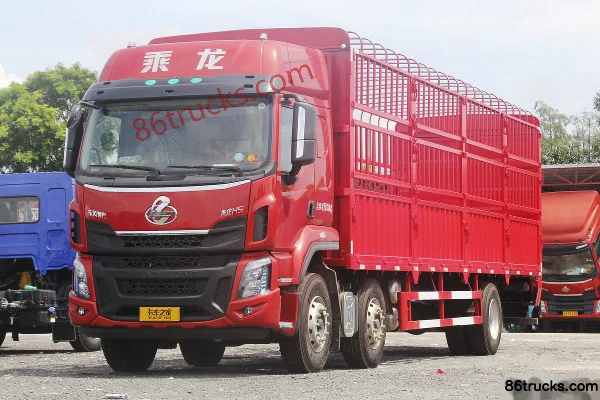 Dongfeng Liuqi Chenglong H5 Medium Truck 220hp 6X2(8 wheels) 9.7m stake truck Exterior (3) | 86Trucks