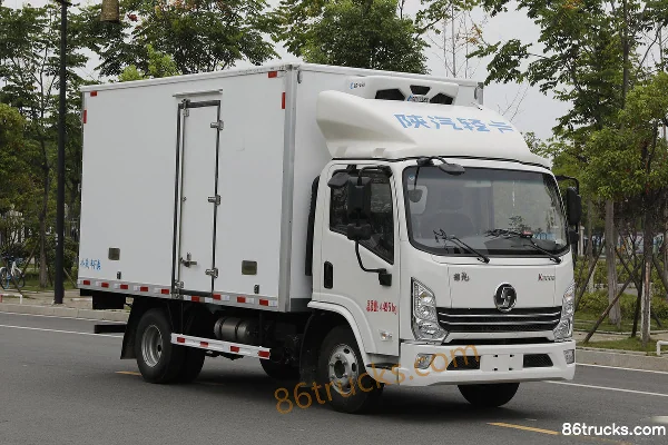 SHACMAN Light Truck SHACMAN Delong K3000 Refrigerated Truck