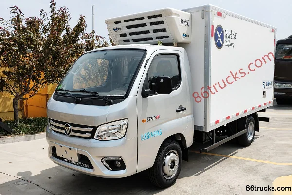 Binglingfang Binglingfang Foton chassis Refrigerated Truck