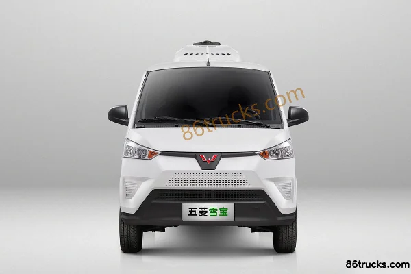 Wuling New Energy Wuling New Energy Xuebao mini truck Electric Refrigerated Truck