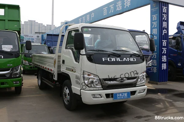 Foton Foton Times Xiaoyun Light Truck Dump Trucks