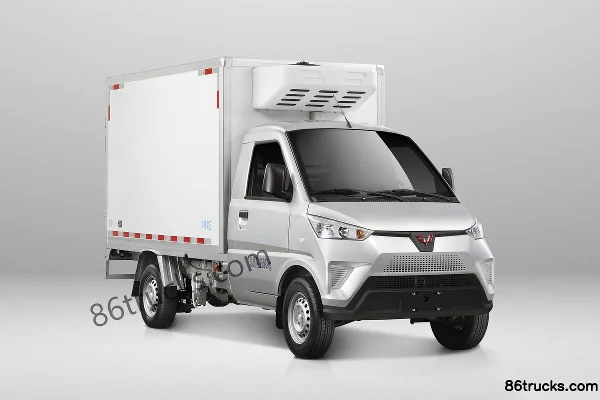 Wuling New Energy Wuling Auto Wuling Electric Truck Electric Refrigerated Truck