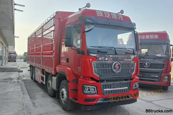 SHACMAN SHACMAN Delong M3000S Cargo Trucks