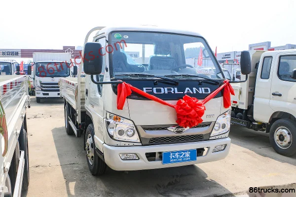 Foton Xiaoyun S1 115hp 4X2(6 wheels) 3.67m single-row flatbed light truck (China VI) Exterior