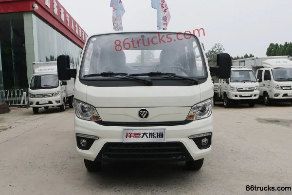 Foton Xiangling M2 Comfort 1.6L 122hp 4X2(6 wheels) Gasoline 3.1m Double Row Flatbed Mini Truck Exterior (2) | 86Trucks
