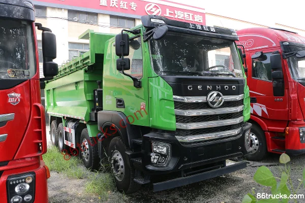 SAIC Hongyan Jiehu H6 Standard Load 360 hp 8X4(12 wheels) 6.2m Dump Truck Exterior