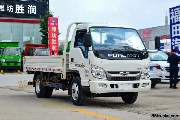 Foton Foton Xiaoyun Light Truck Dump Trucks