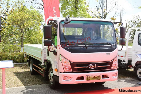 NanJun Ruijie D30 4.5T 4.1m Single Row Pure Electric Panel Light Truck 98.04kWh 4X2(6 wheels) Exterior