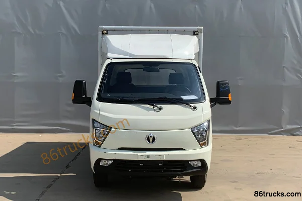 Feidi Ditu EX Mini Truck electric cargo truck