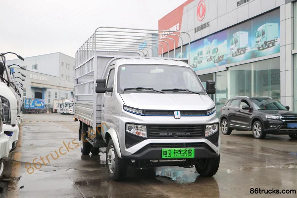 FARIZON FARIZON Fengrui F3E electric cargo truck