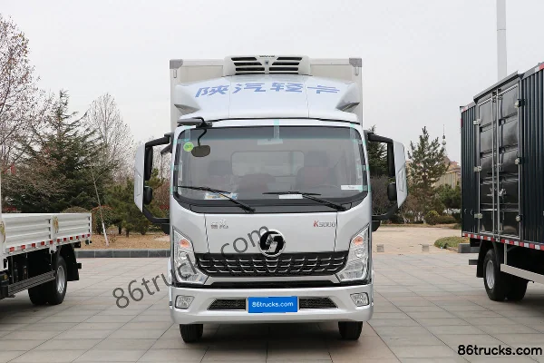 SHACMAN Light Truck SHACMAN Xuelong Golden Delong Z1 Refrigerated Truck