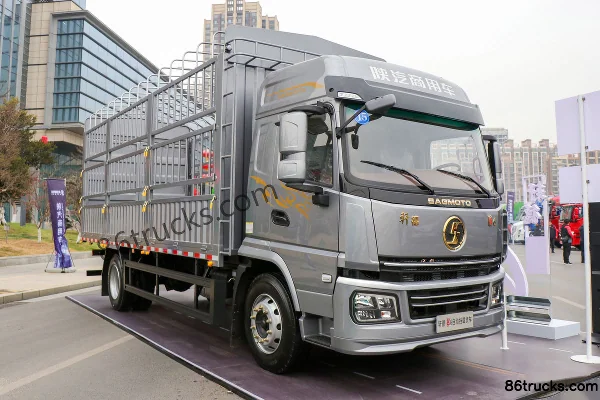 SHACMAN Commercial Vehicle SHACMAN Commercial Vehicle Xuande Yi 6 Cargo Trucks