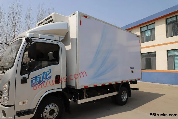 SHACMAN Light Truck Delong K1 version de base 160 ch 4X2(6 roues) camion frigorifique 4,08 m (China VI) Carrosserie (3) | 86Trucks