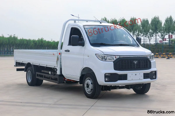 Leichi Small Truck 4.2T 3.5m single-row pure electric flatbed small truck 55.7kWh 4X2(6 wheels) Exterior