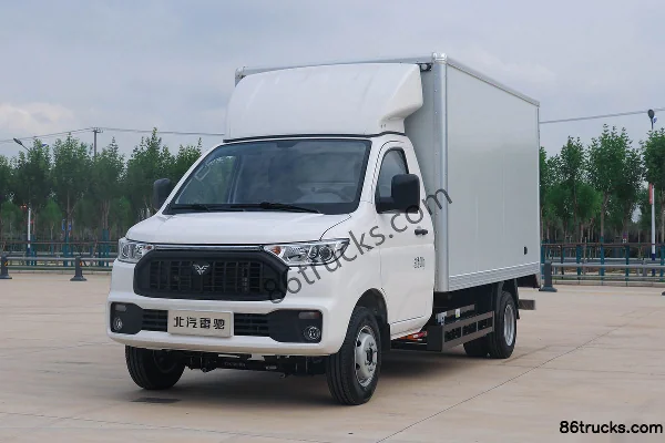 Leichi Leichi light truck electric cargo truck