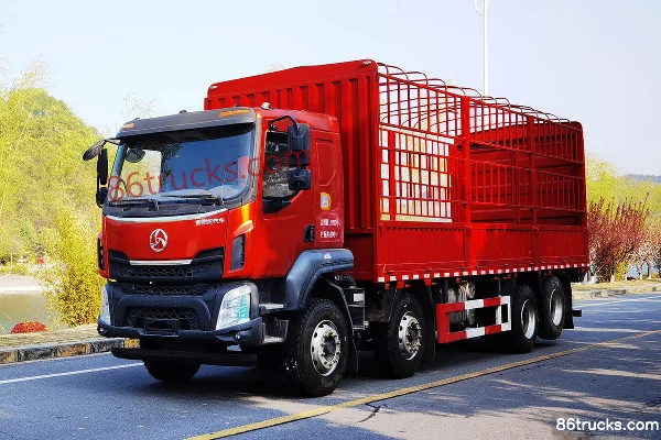 Sanlong Longjiang 270hp 8X2(10 wheels) 6.8m Semi-Cab Cage Cargo Truck Exterior
