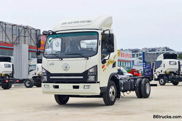 SHACMAN Commercial Vehicle Delong G1 137 ch 4X2(6 roues) 4,18 m cabine simple camion fourgon Extérieur (3) | 86Trucks
