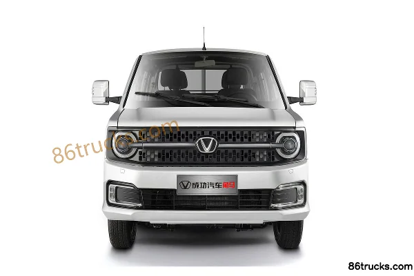 Chenggong Horn Horse Basic 1.6L 122hp 4X2(6 wheels) Gasoline 2.555m Double Row Flatbed Mini Truck Exterior