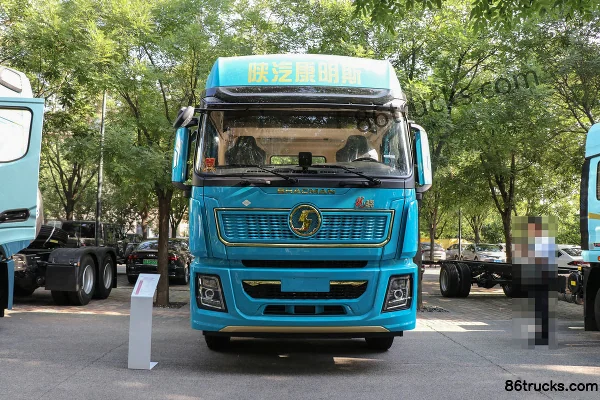 SHACMAN Cummins Longxiao Highway Standard Elite Edition 490hp 8X4(12 wheels) 6.5m Dump Truck Exterior