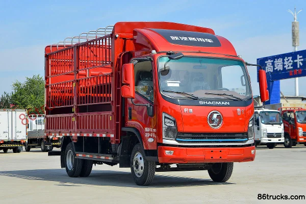 SHACMAN Commercial Vehicle SHACMAN Commercial Vehicle Xuande Yi 9 Light Truck Cargo Trucks