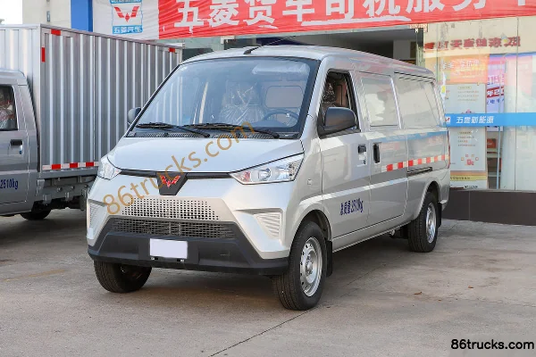 Wuling New Energy Wuling EV50 Electric Panel Van