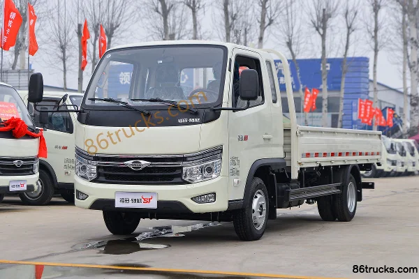 Foton Times Pilot S1 2.0L 144hp 4X2(6 wheels) Gasoline 3.42m Semi-Row Flatbed Light Truck (China VI) Exterior (3) | 86Trucks