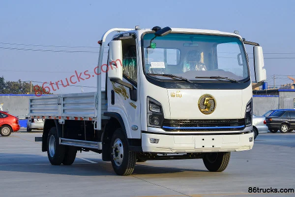 SHACMAN Commercial Vehicle SHACMAN Commercial Vehicle Delong G2 Cargo Trucks