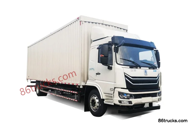 FARIZON FARIZONG1E electric cargo truck