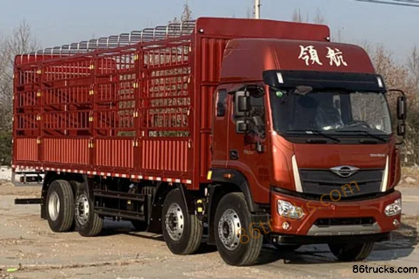 Foton Foton Shenglong ES7 medium-duty truck Cargo Trucks