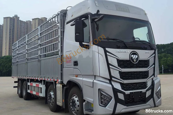 Foton Auman EST Star Edition 620 hp 8X4(12 wheels) 9.55m AMT automatic stake truck Exterior