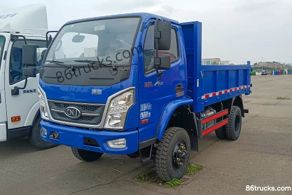 NanJun Ruisheng Luxury Edition 155hp 4X4(6 wheels) 3.1m single-row flatbed light truck (NJA2041) Exterior (2) | 86Trucks