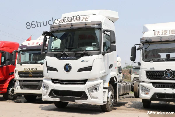 SHACMAN Delong M6000 Elite Edition 300 hp 4X2(6 wheels) 9.8m Van Cargo Truck Exterior (3) | 86Trucks