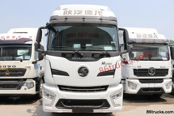 SHACMAN Delong M6000 Elite Edition 300 hp 4X2(6 wheels) 9.8m Van Cargo Truck Exterior (2) | 86Trucks