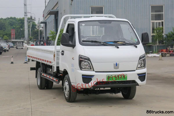 FARIZON FARIZON Fengrui V5E electric cargo truck