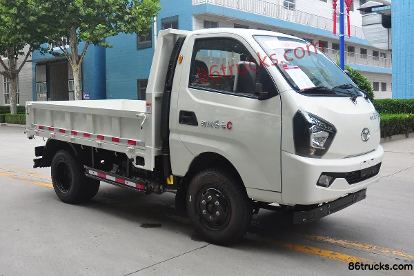 Shifeng Shifeng Fengyun Mini Truck Cargo Trucks